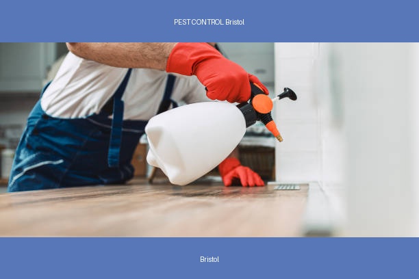 PEST CONTROL Bristol